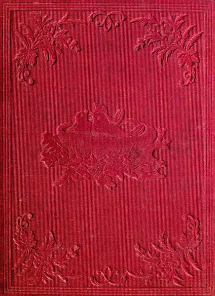 Little Robins' Love One to Another