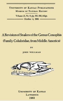 A Revision of Snakes of the Genus Conophis (family Colubridae, from Middle America)