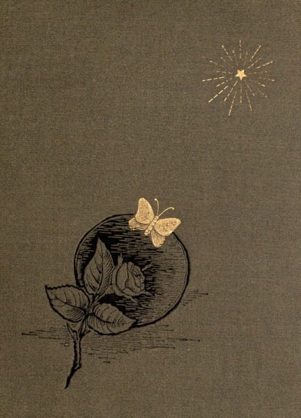 An Ambitious Woman: A Novel