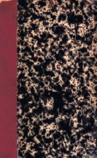 Lettres À Madame Viardot