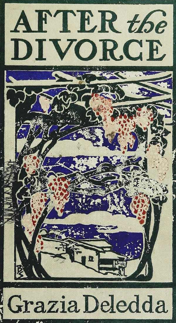 After the Divorce: A Romance