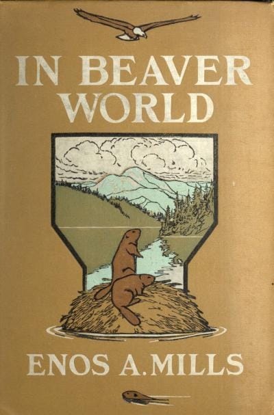 In Beaver World