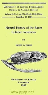 Natural History of the Racer Coluber Constrictor