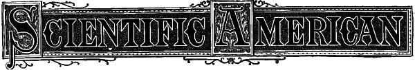 Scientific American, Vol. Xxxix.no. 6. [New Series.], August 10, 1878