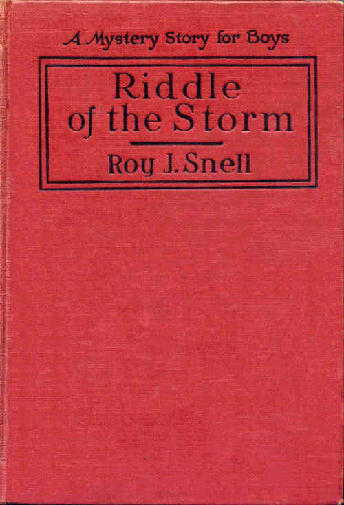 Riddle of the Storm: A Mystery Story for Boys