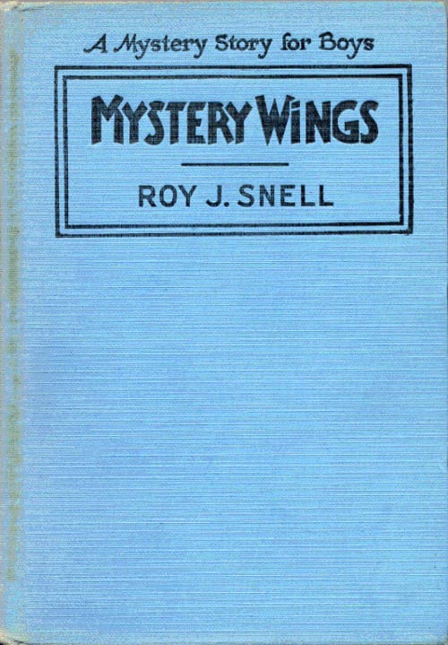 Mystery Wings: A Mystery Story for Boys