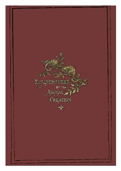 Eccentricities of the Animal Creation.