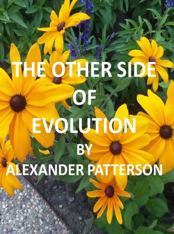 The Other Side of Evolution: Its Effects and Fallacy