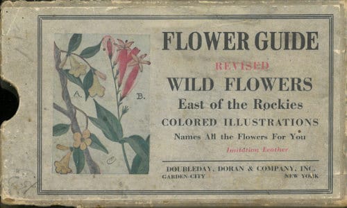 Flower Guide: Wild Flowers East of the Rockies(revised and with New Illustrations)