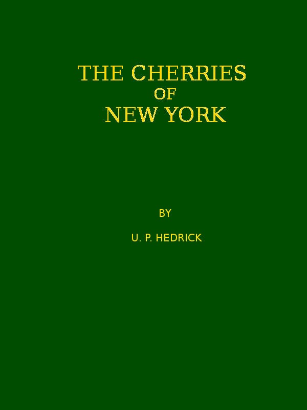 The Cherries of New York