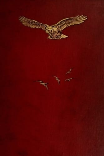 Birds of the Wave and Woodland