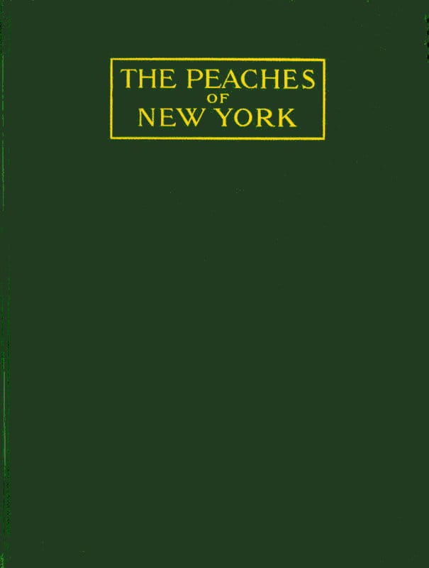 The Peaches of New York