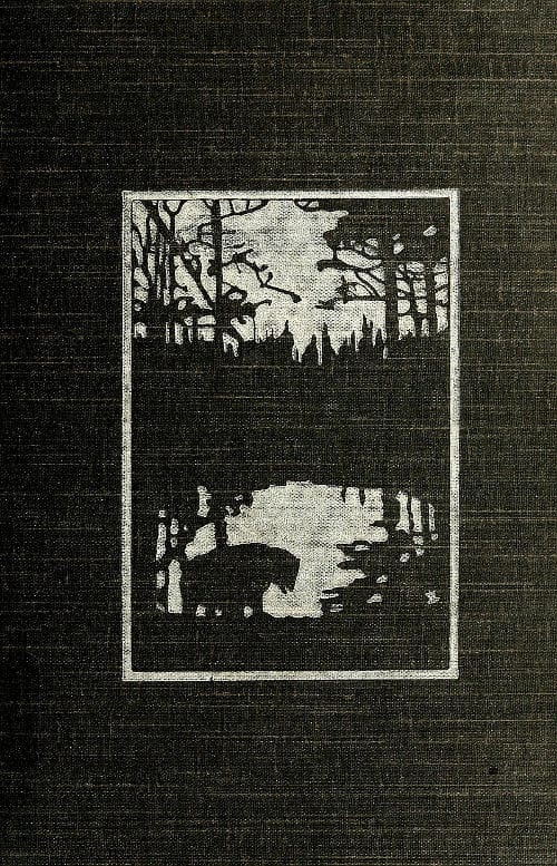 The Heart of the Ancient Wood