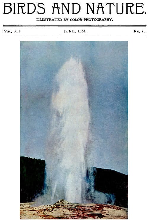 Birds and Nature, Vol. 12 No. 1 [June 1902]illustrated by Color Photography