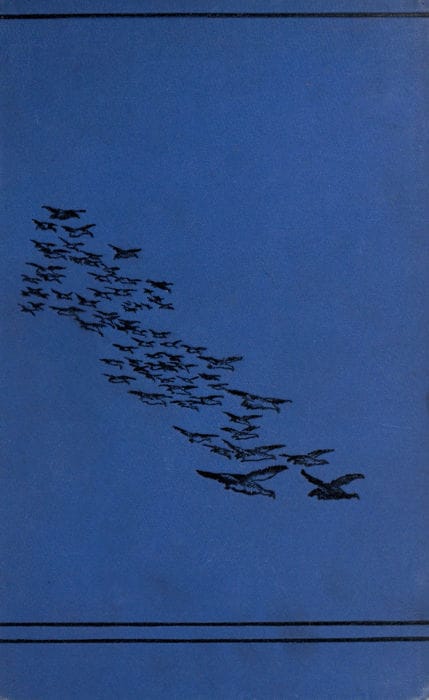 Sport in the Crimea and Caucasus