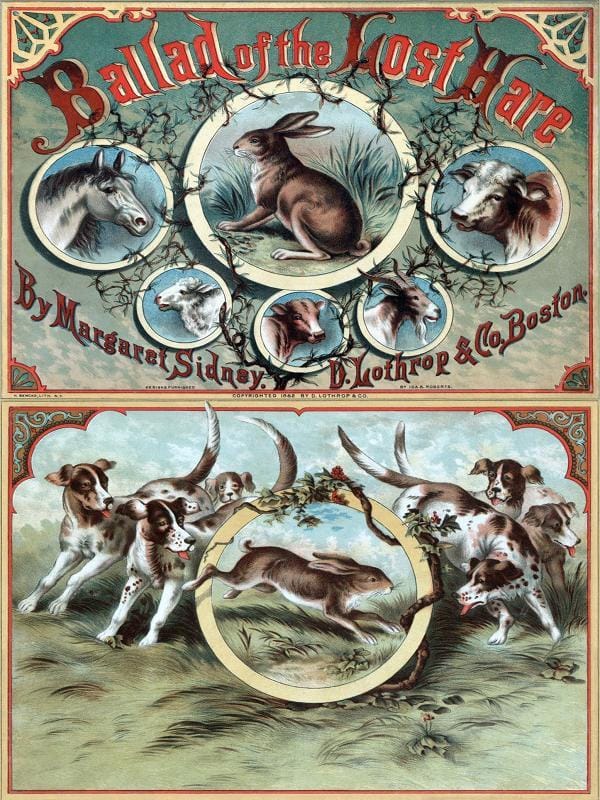 Ballad of the Lost Hare