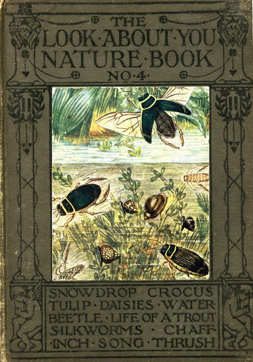 The 'Look About You' Nature Study Books, Book 4 [Of 7]