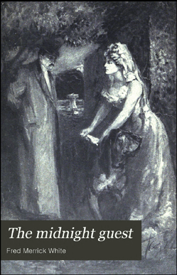 The Midnight Guest: A Detective Story