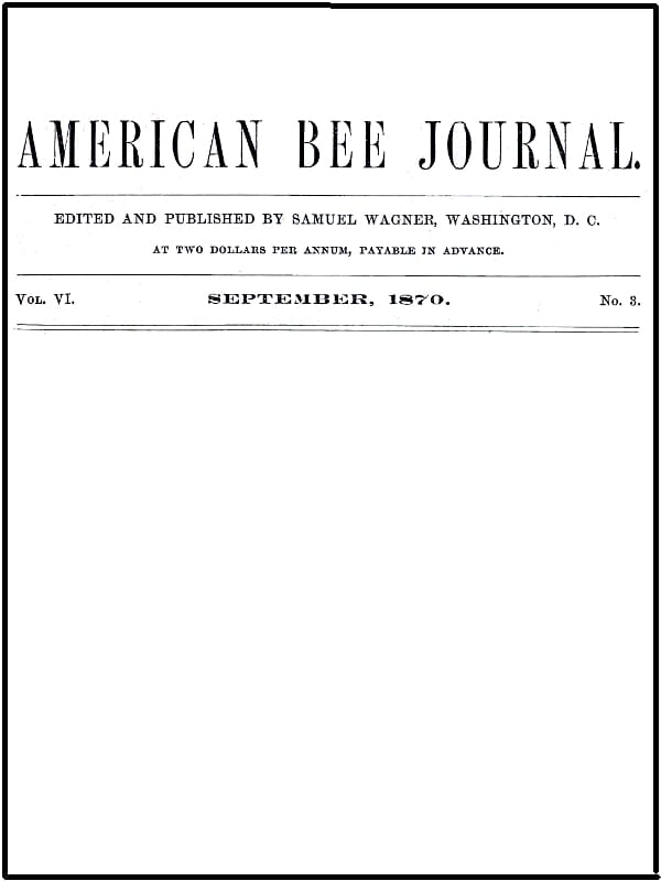 The American Bee Journal, Volume VI, Number 3, September 1870