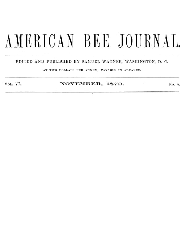 The American Bee Journal, Vol. VI., Number 5, November 1870