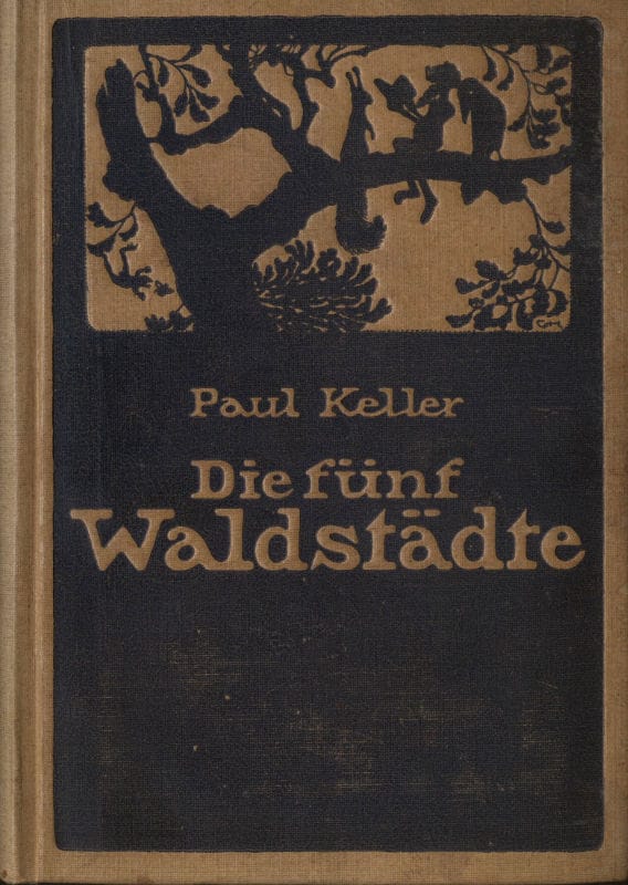 Die fünf Waldstädte: Ein Buch für Menschen, die jung sind