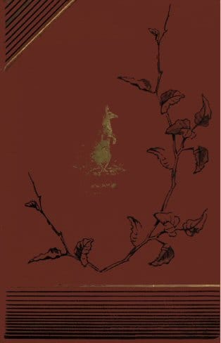 An Australian Ramble; Or, A Summer in Australia