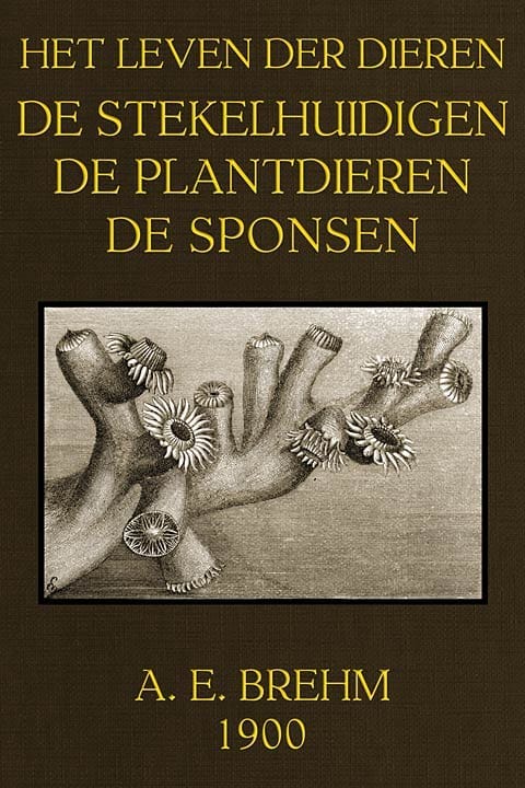 Het Leven der Dieren: Deel 3.8, De Stekelhuidigen, Plantdieren en Sponsen