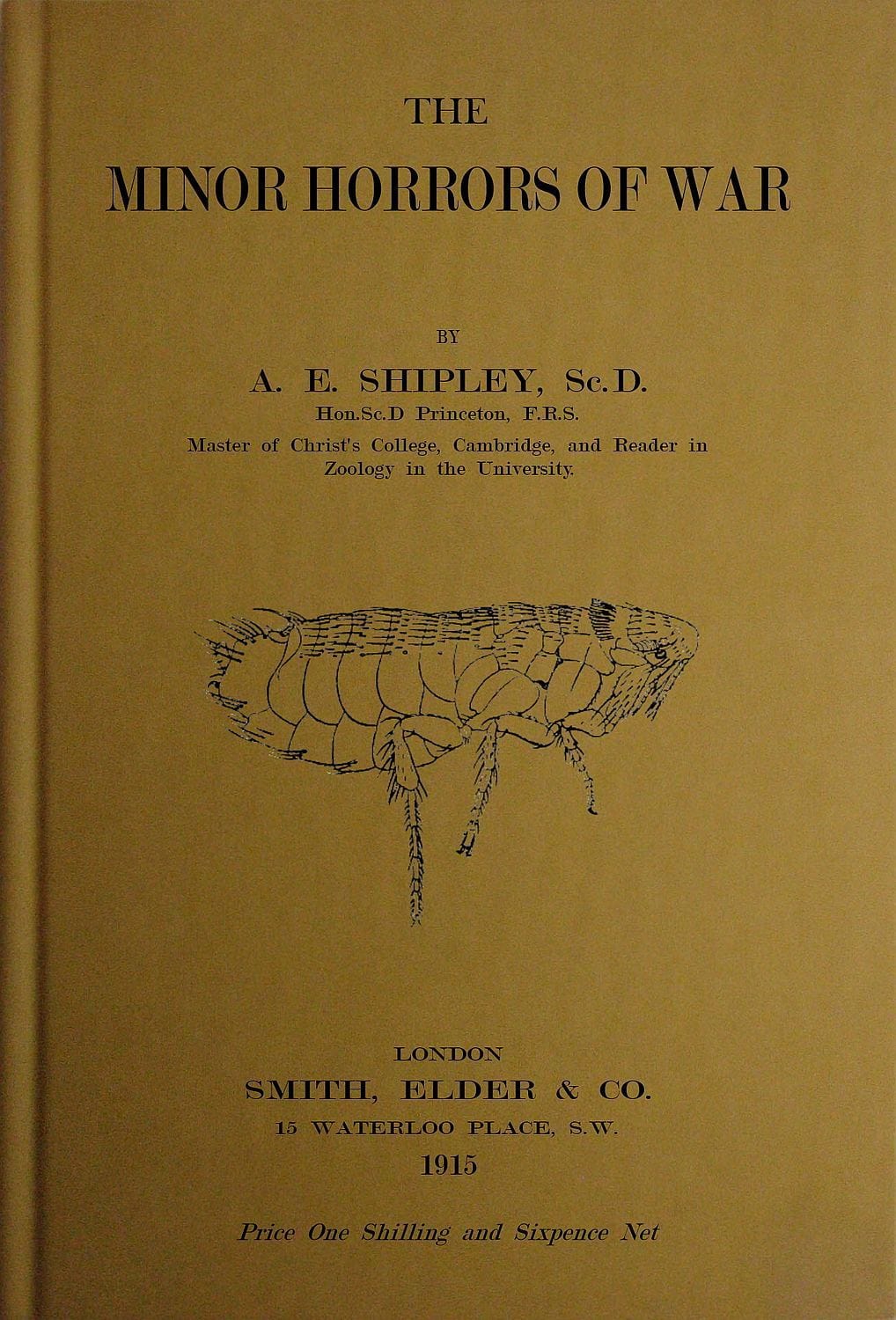 The Minor Horrors of War