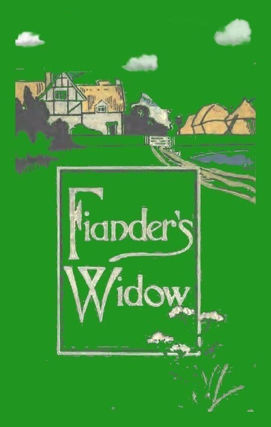 Fiander's Widow: A Novel