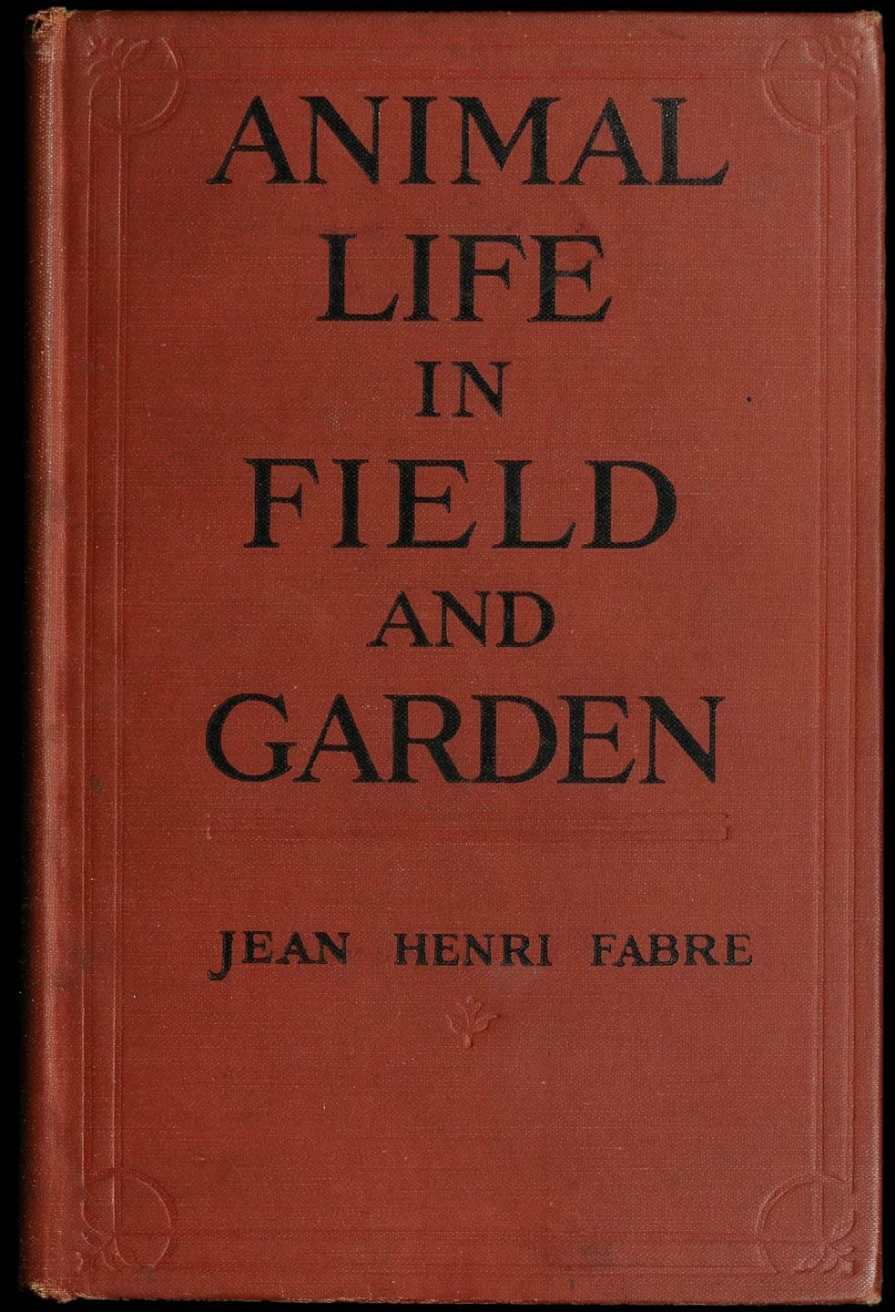 Animal Life in Field and Garden