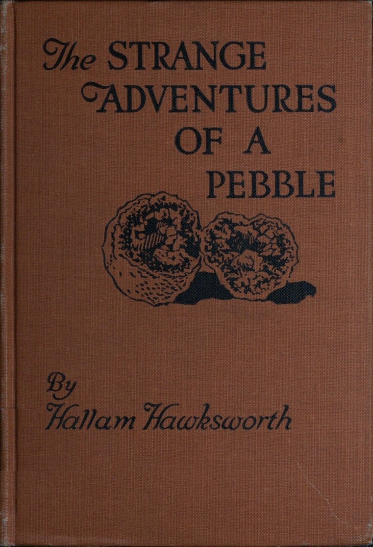 The Strange Adventures of a Pebble