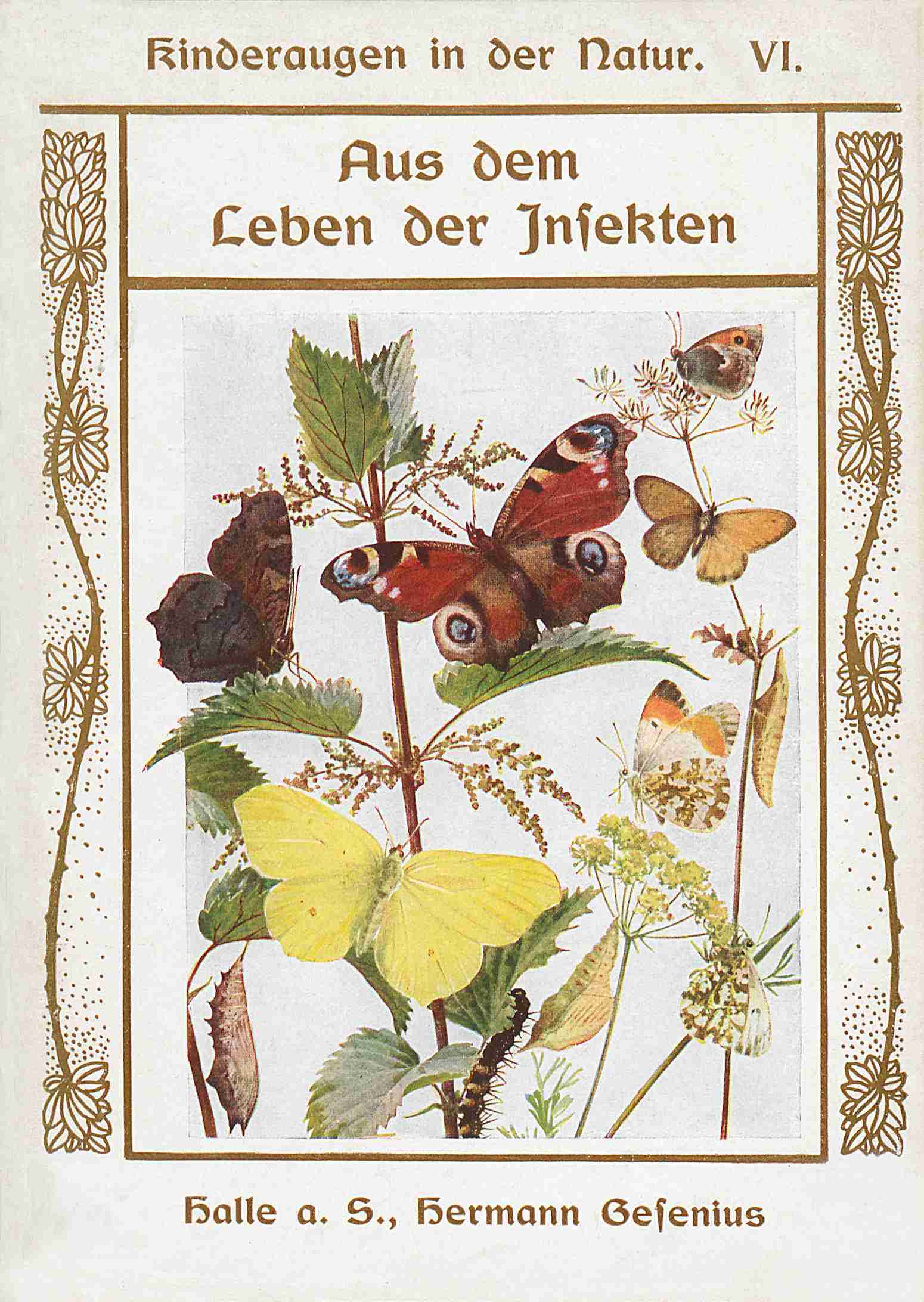 Aus Dem Leben Der Insekten