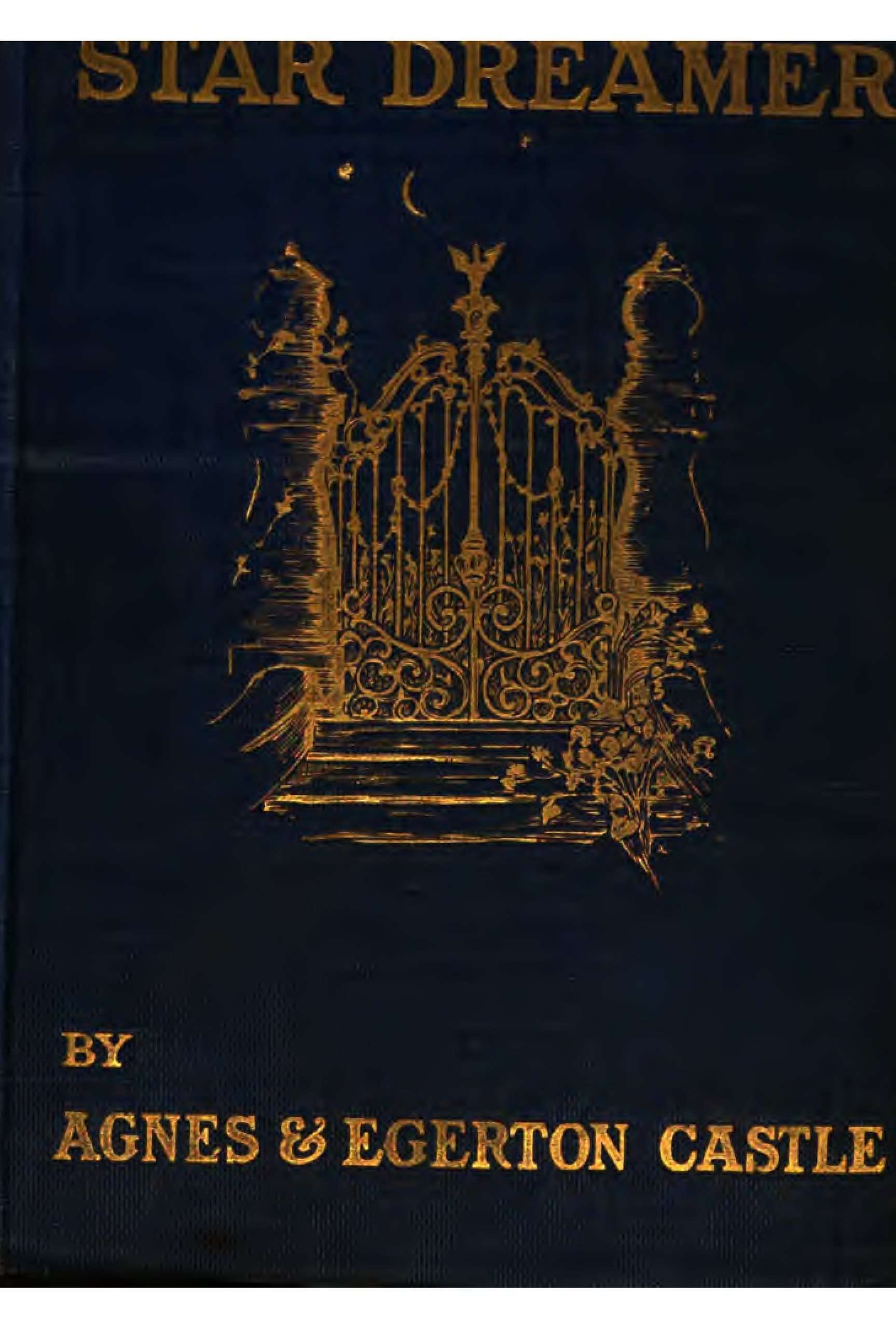 The Star Dreamer: A Romance