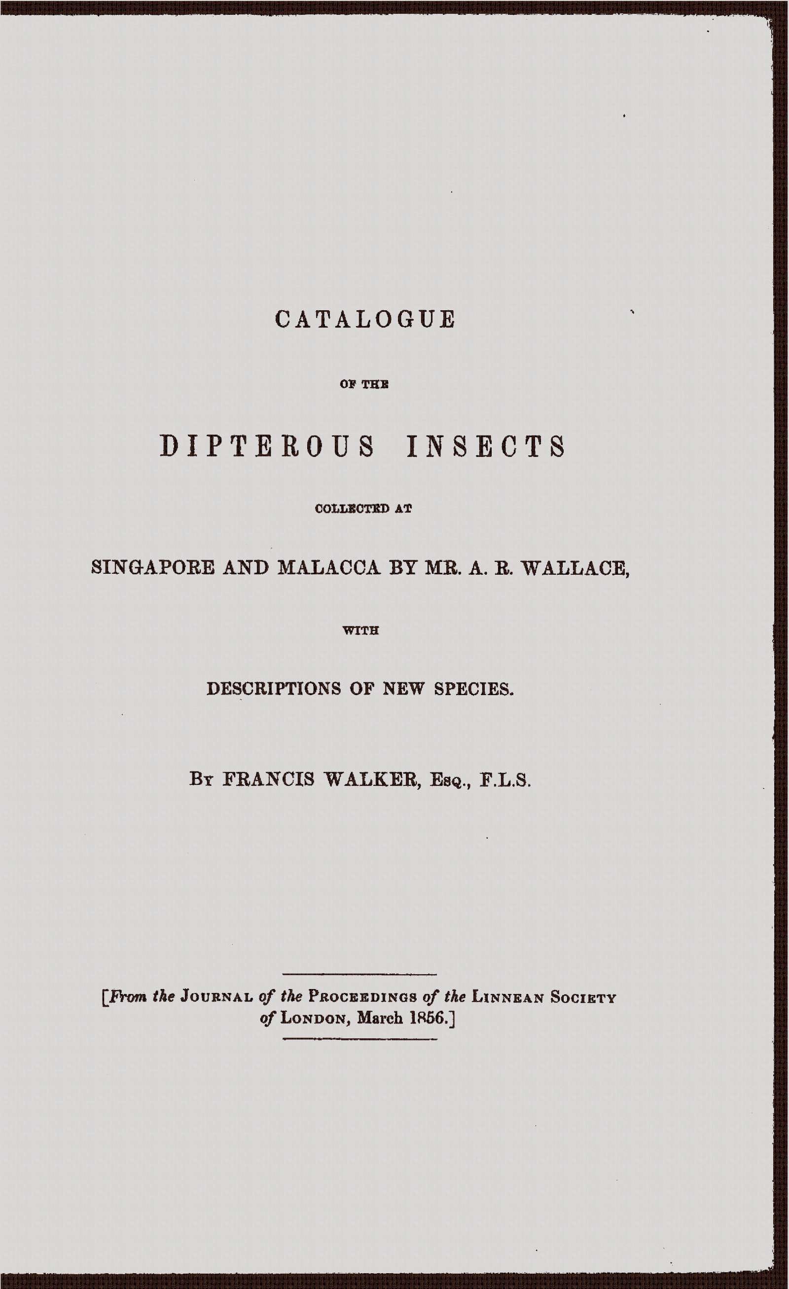 Catalogue of the Dipterous Insects Collected at Singapore and Malacca