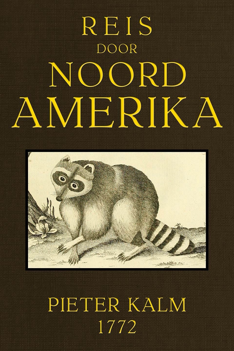 Reis Door Noord Amerika: Gedaan Door Den Heer Pieter Kalm