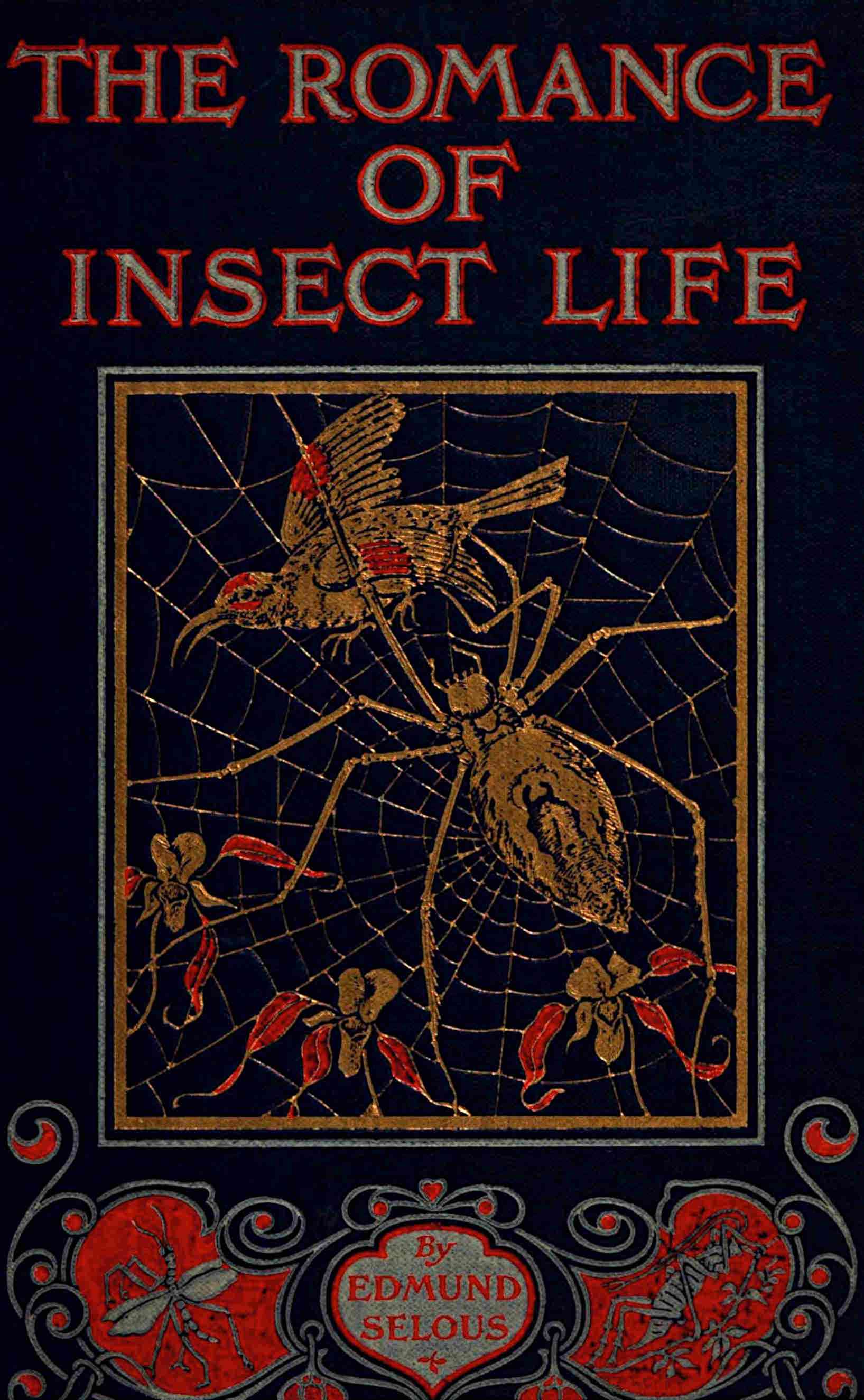 The Romance of Insect Life: Interesting Descriptions of the Strange and Curious in the Insect World