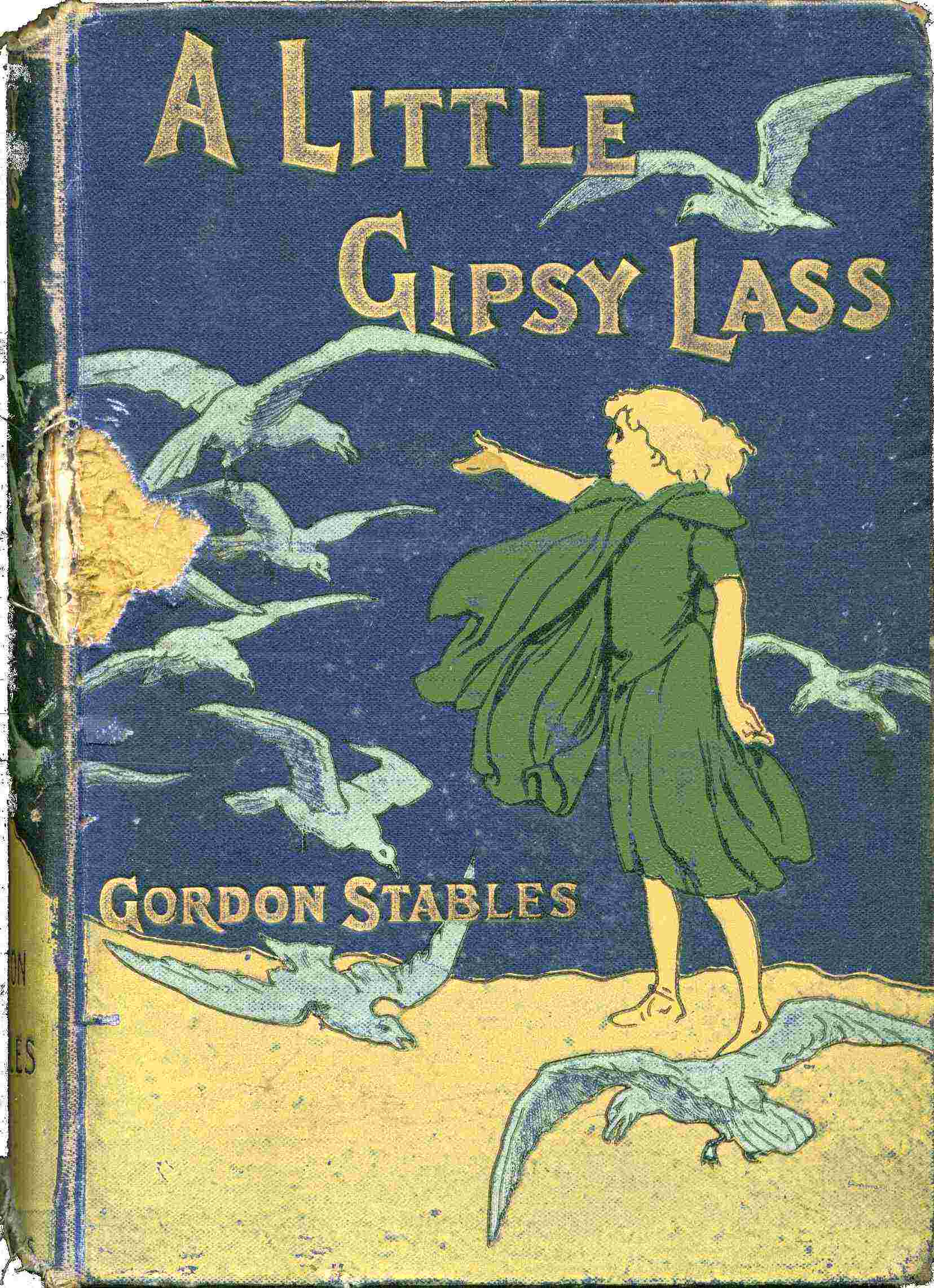 A Little Gipsy Lass: A Story of Moorland and Wild