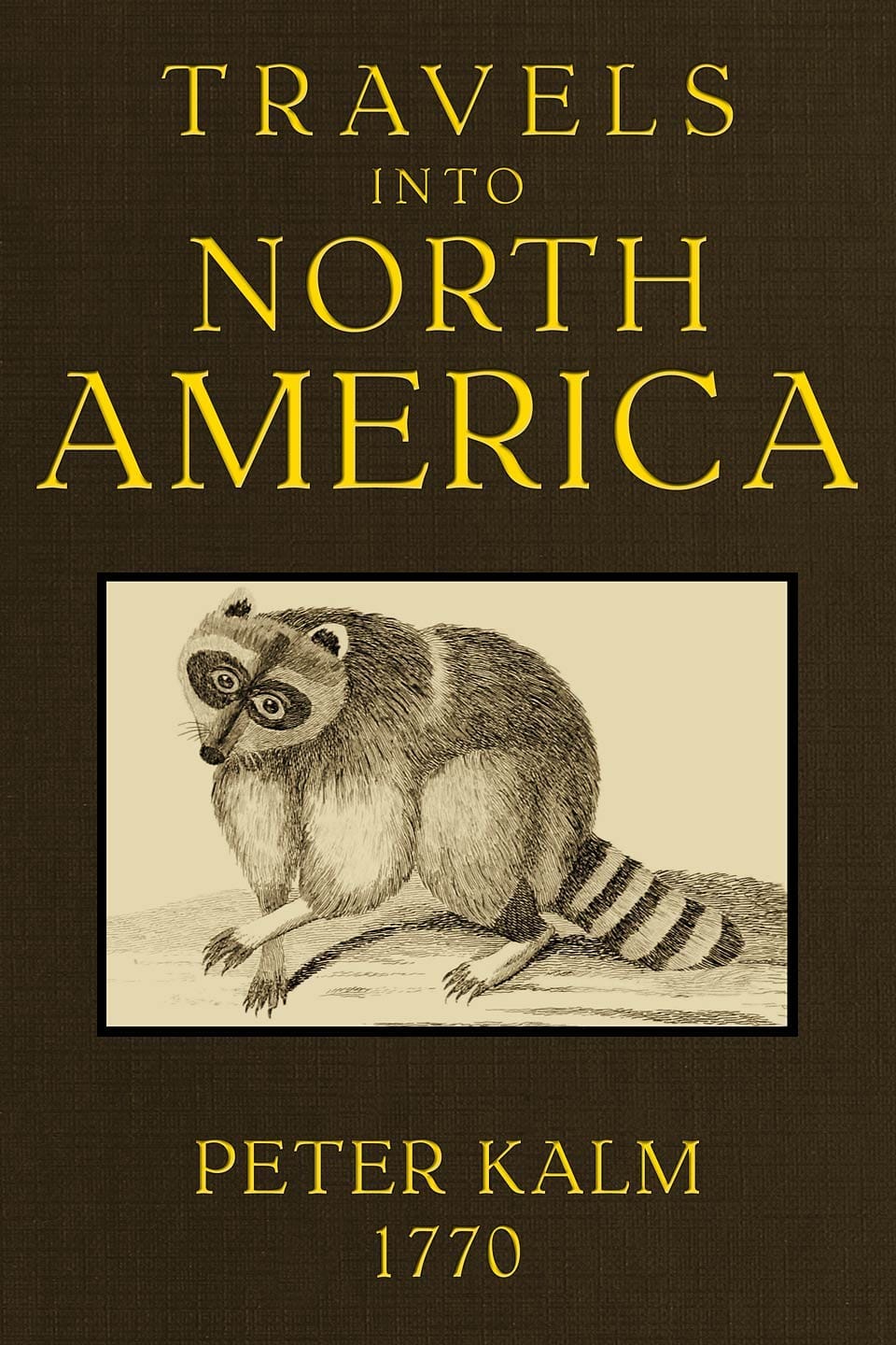 Travels into North America, Volume 1 (of 3)