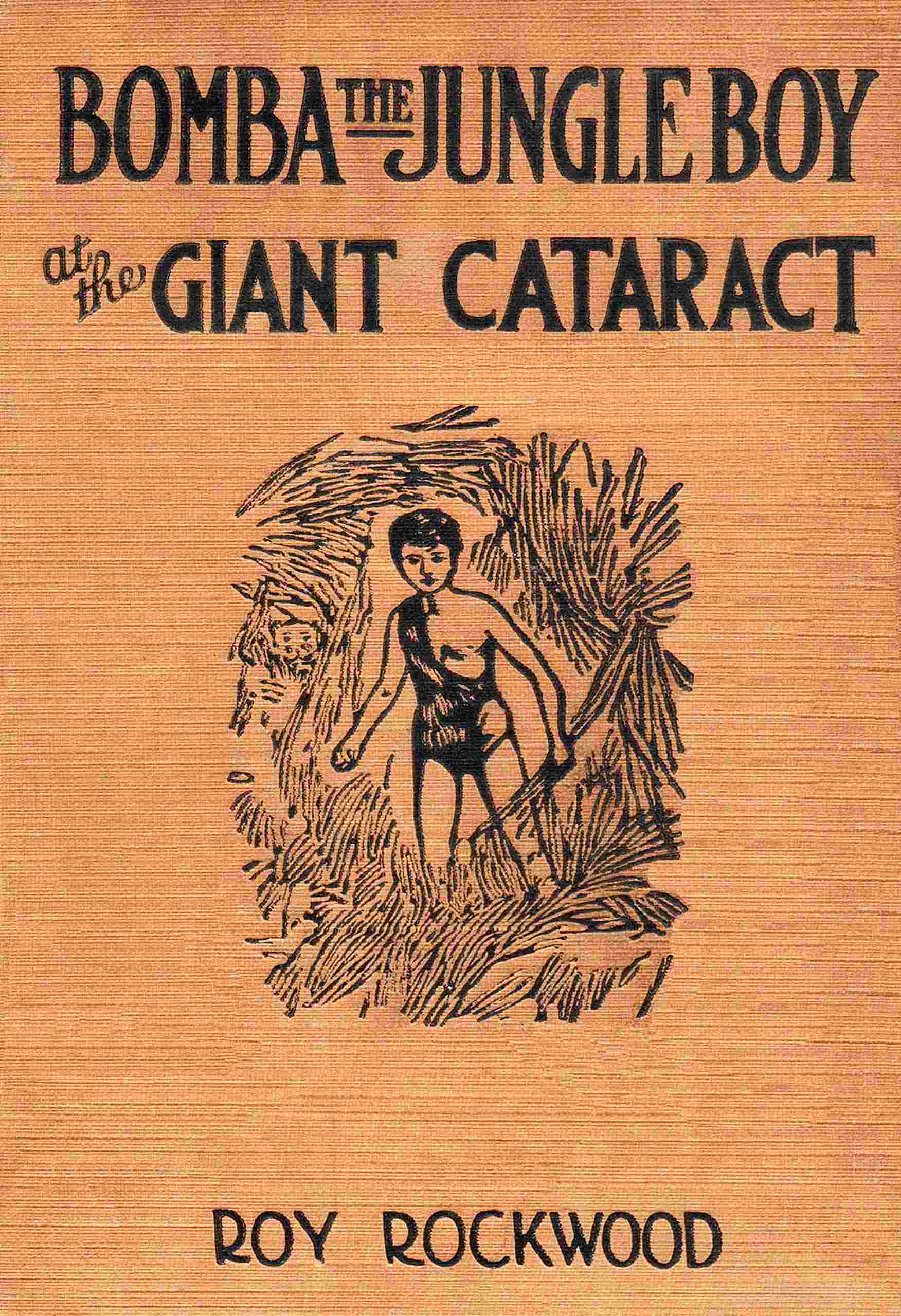 Bomba the Jungle Boy at the Giant Cataract: Or, Chief Nascanora and His Captives