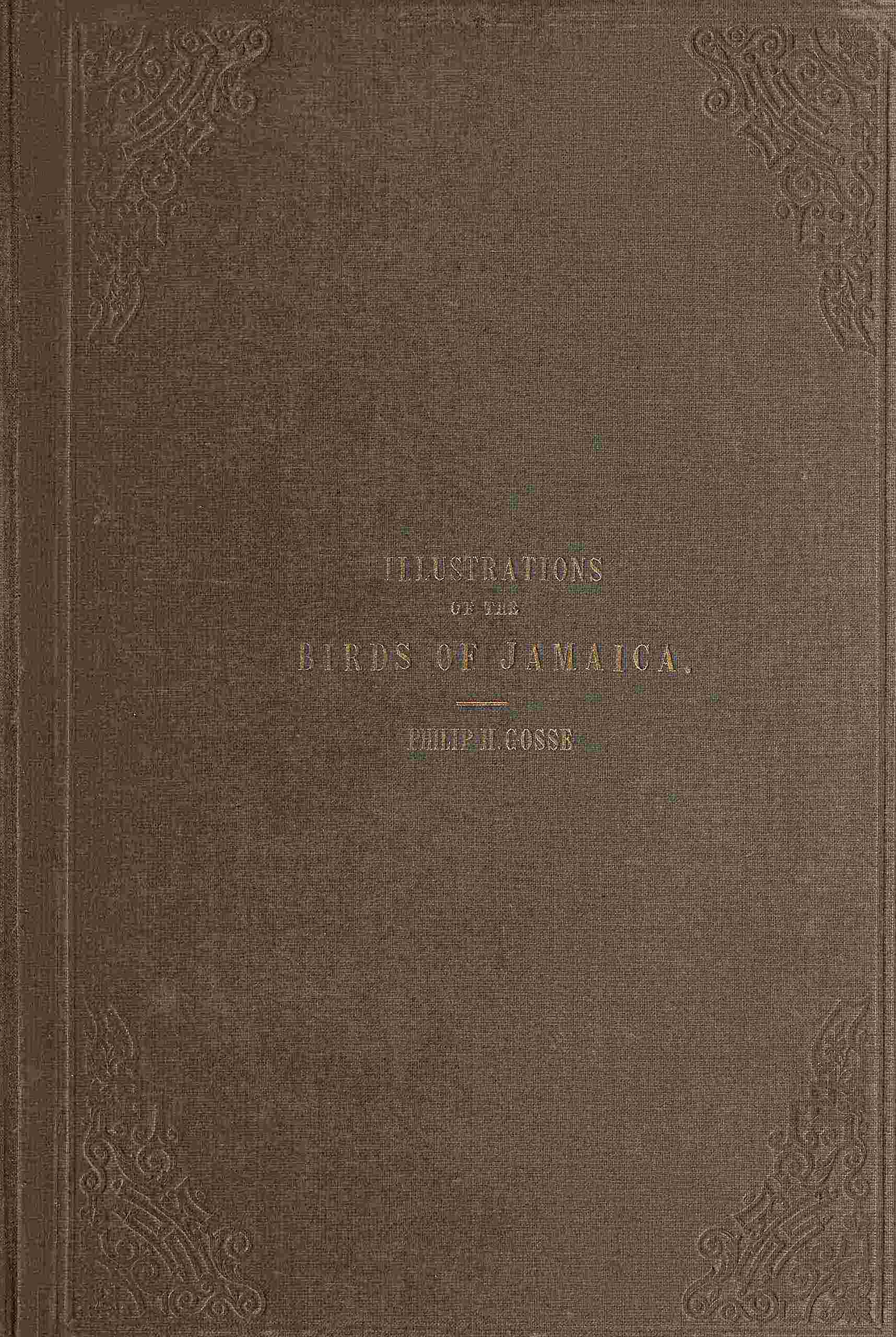 Illustrations of the Birds of Jamaica