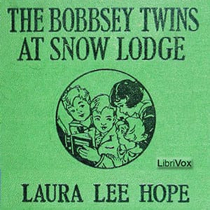 Bobbsey Twins at Snow Lodge