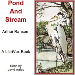 Pond And Stream