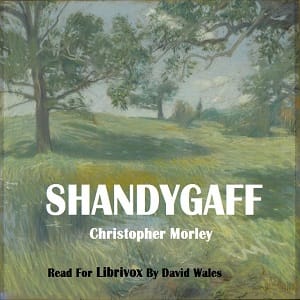 Shandygaff
