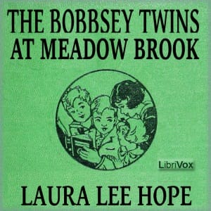 Bobbsey Twins at Meadow Brook