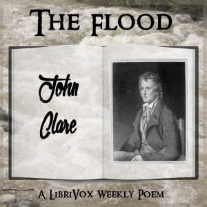 Flood