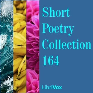 Short Poetry Collection 164