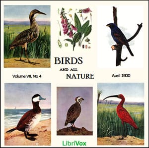 Birds and All Nature, Vol. VII, No 4, April 1900