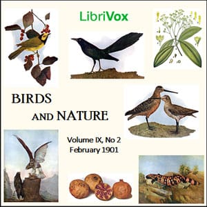 Birds and Nature, Vol. IX, No 2, February 1901
