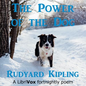 Power of the Dog