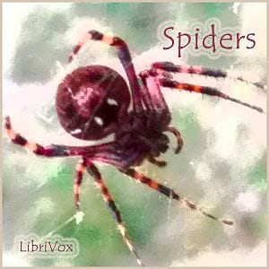 Spiders